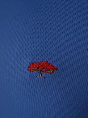 Peter Millar Blue Poinciana Performance Polo (L) ⛳️